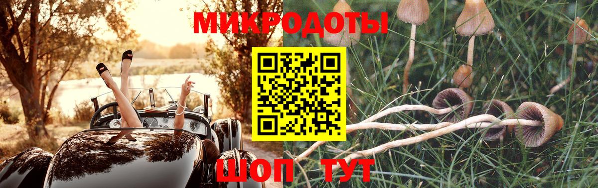 Галлюциногенные грибы Psilocybe  Вход с VPN  Галлюциногенные грибы Cubensis  где купить наркоту  Железноводск 